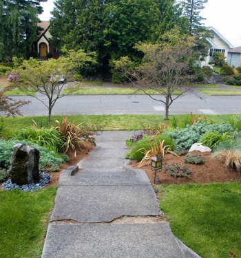 Front Yard